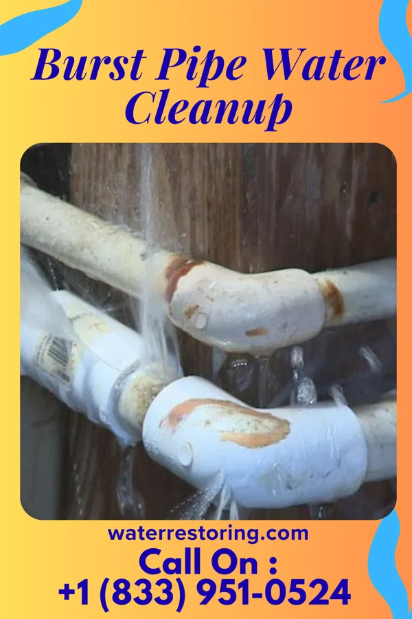 Burst Pipe Water Cleanup in Ridge Spring, SC